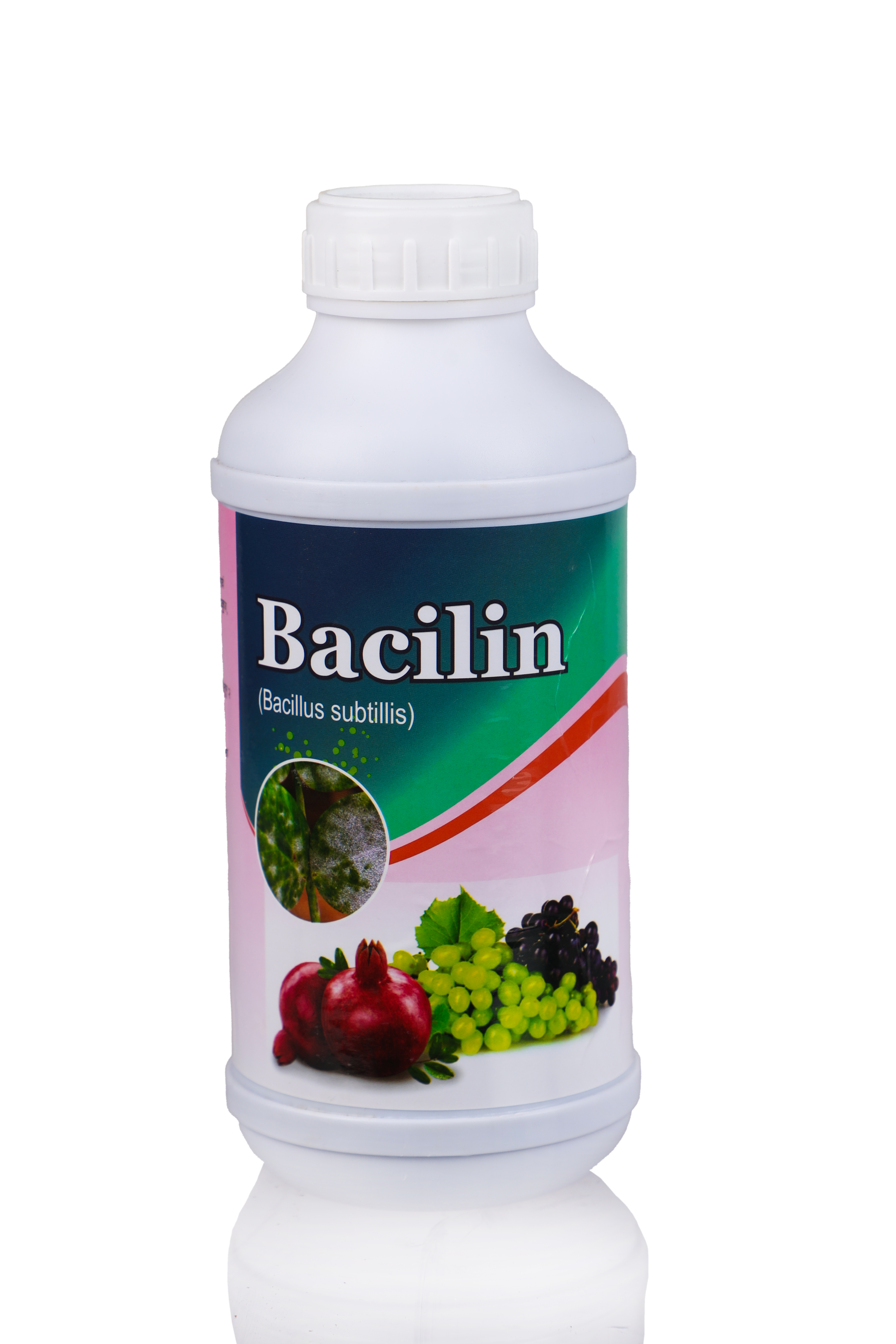 ACILIN