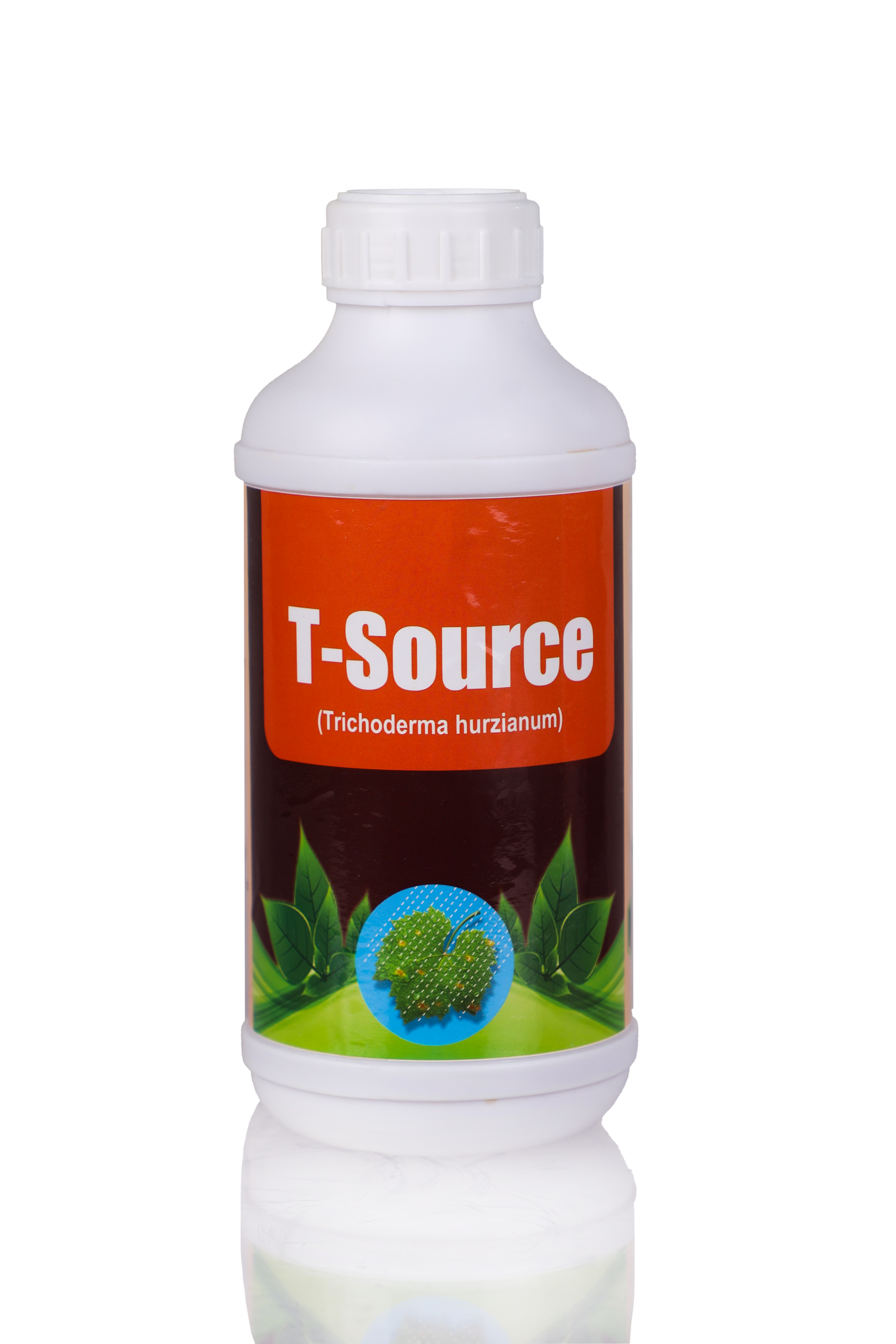 T-SOURCE